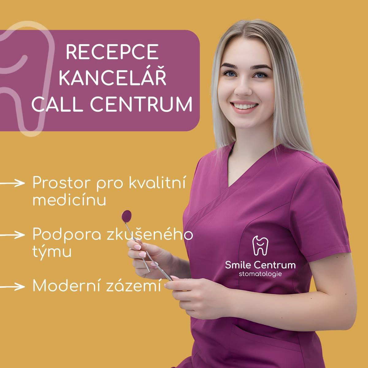 https://smilecentrum.cz/kariera
