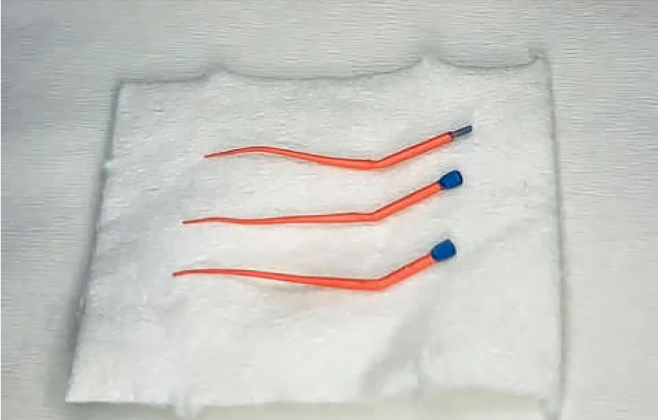 6b: Jednotlivé gutaperčové čepy.