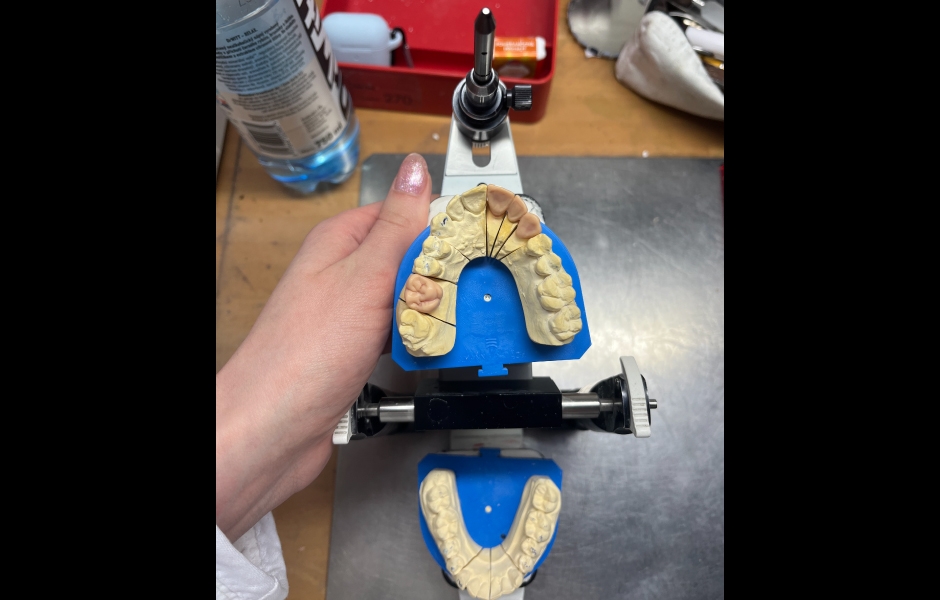 Projekt Erasmus na VOŠZ a SZŠ a Gymnázium, Alšovo nábřeží 6, Praha 1