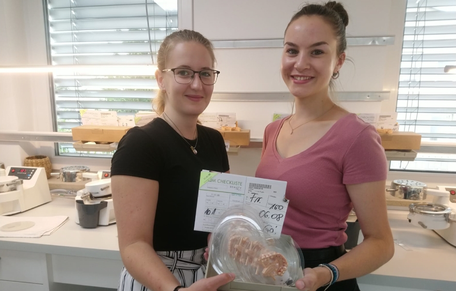 Projekt Erasmus na VOŠZ a SZŠ a Gymnázium, Alšovo nábřeží 6, Praha 1