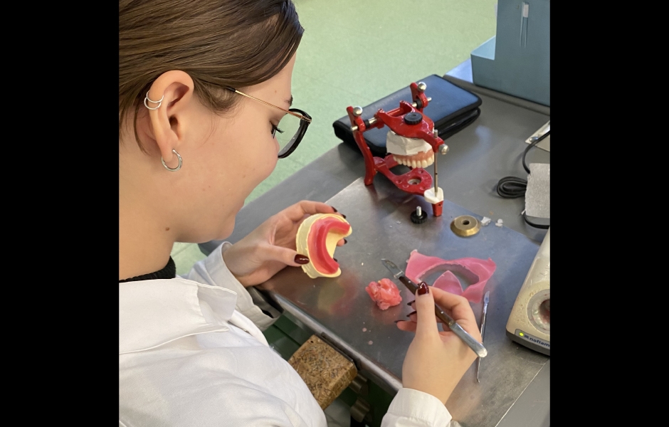 Projekt Erasmus na VOŠZ a SZŠ a Gymnázium, Alšovo nábřeží 6, Praha 1